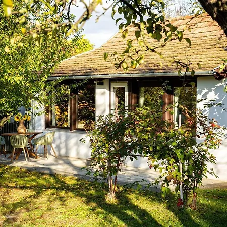 Helo Badacsonytördemic