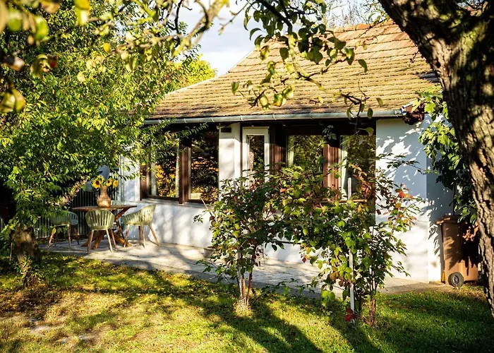 Helo Badacsonytördemic