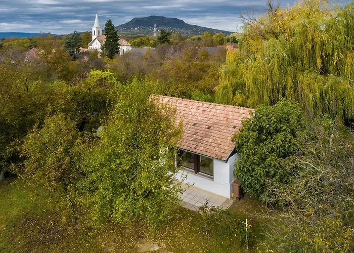 Helo Badacsonytördemic